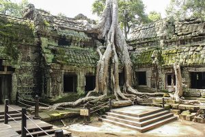 cambodia tomb raider