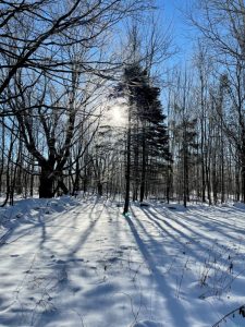 Winter Solstice Retreat @ Sugar Ridge Retreat Centre | Ontario | Canada
